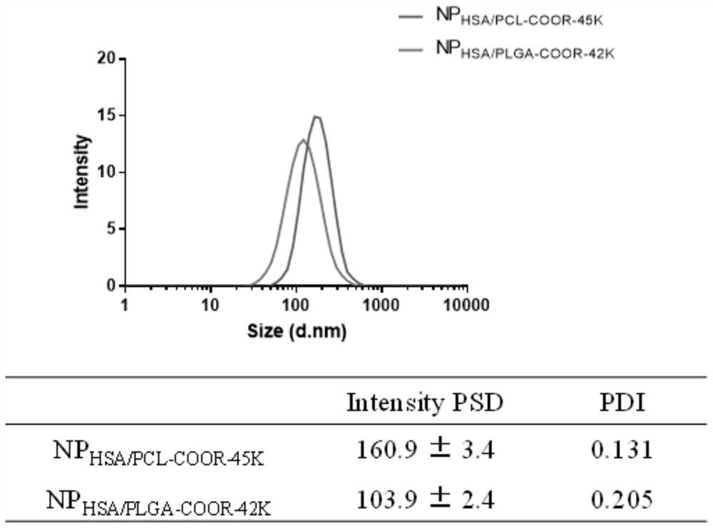 Protein type nanoparticle for delivery of multiple specific antibodies, and application and preparation method of protein type nanoparticle