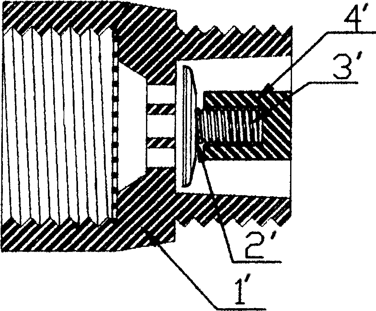 Check valve structure