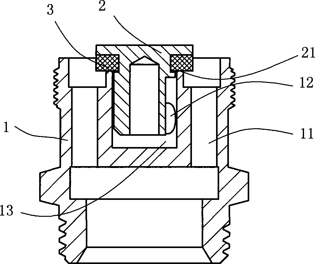 Check valve structure