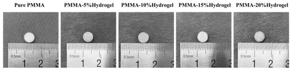 Bone cement hydrogel composite material for vertebroplasty and preparation method of bone cement hydrogel composite material