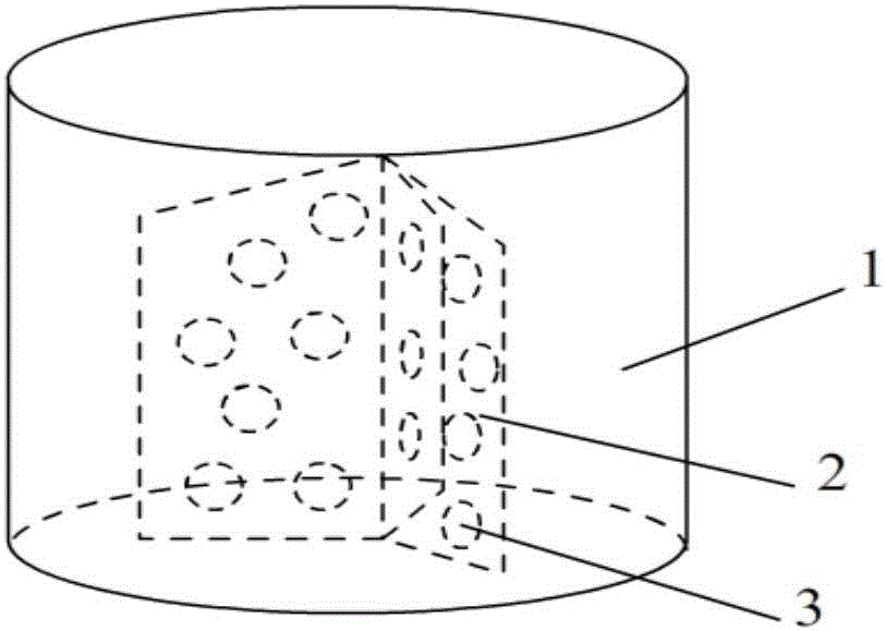 Nutrient agent for planting full peanuts and preparation method of nutrient agent