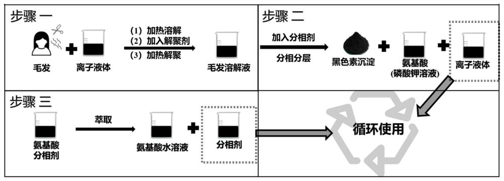 Melanin separation and extraction method based on ionic liquid