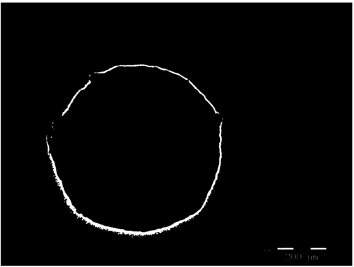 Single-stranded DNA aptamer modified SiO2/Fe3O4 magnetic microsphere preparation method