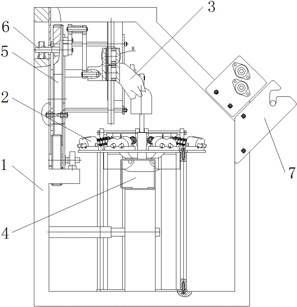 Fruit packing machine