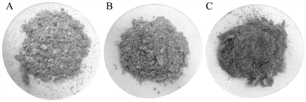 Selenium-rich tea polysaccharide with blood sugar reducing effect and preparation method of lozenge of selenium-rich tea polysaccharide