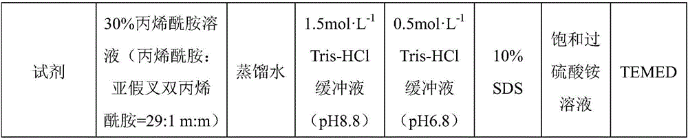 Sex determination method for apostichopus japonicus