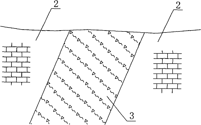 Reinforced structure for foundation with wide defect and construction method thereof