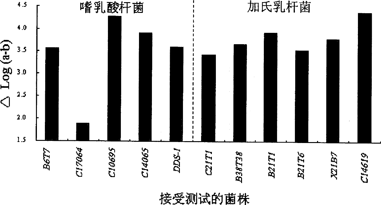 Acid and choline-resistant separated strain of lactobacillus with ability of reducing and assimilating cholesterol