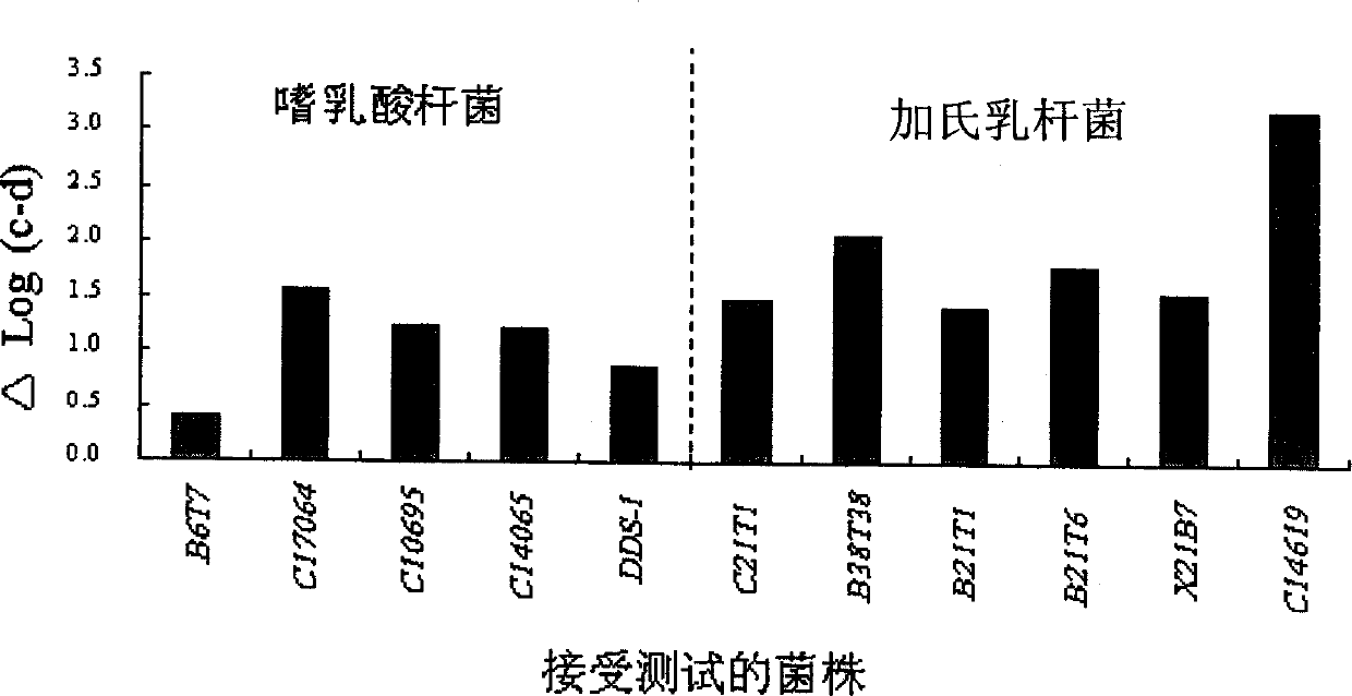 Acid and choline-resistant separated strain of lactobacillus with ability of reducing and assimilating cholesterol