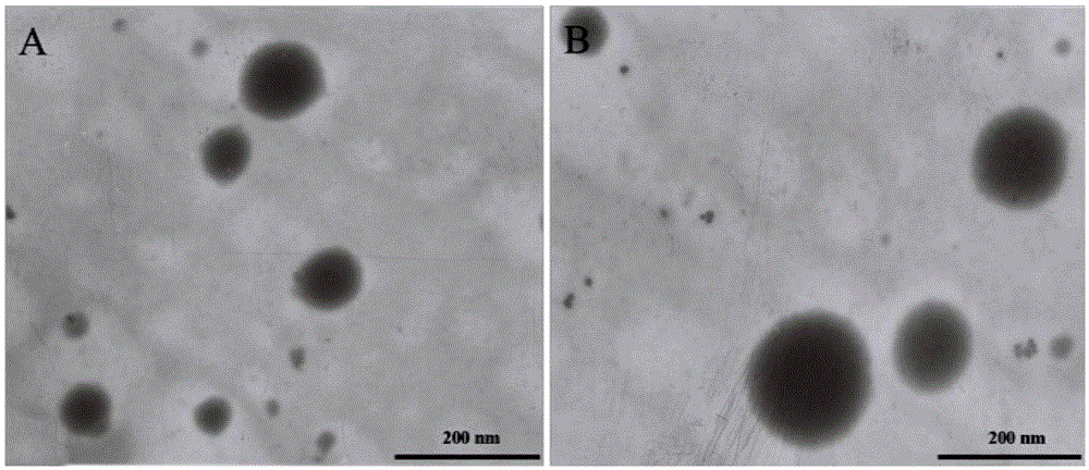 A targeted nano drug delivery system mediated by glioma homing peptide and its preparation method