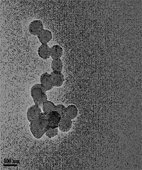 Method for preparing polymer-zinc oxide nano composite microspheres