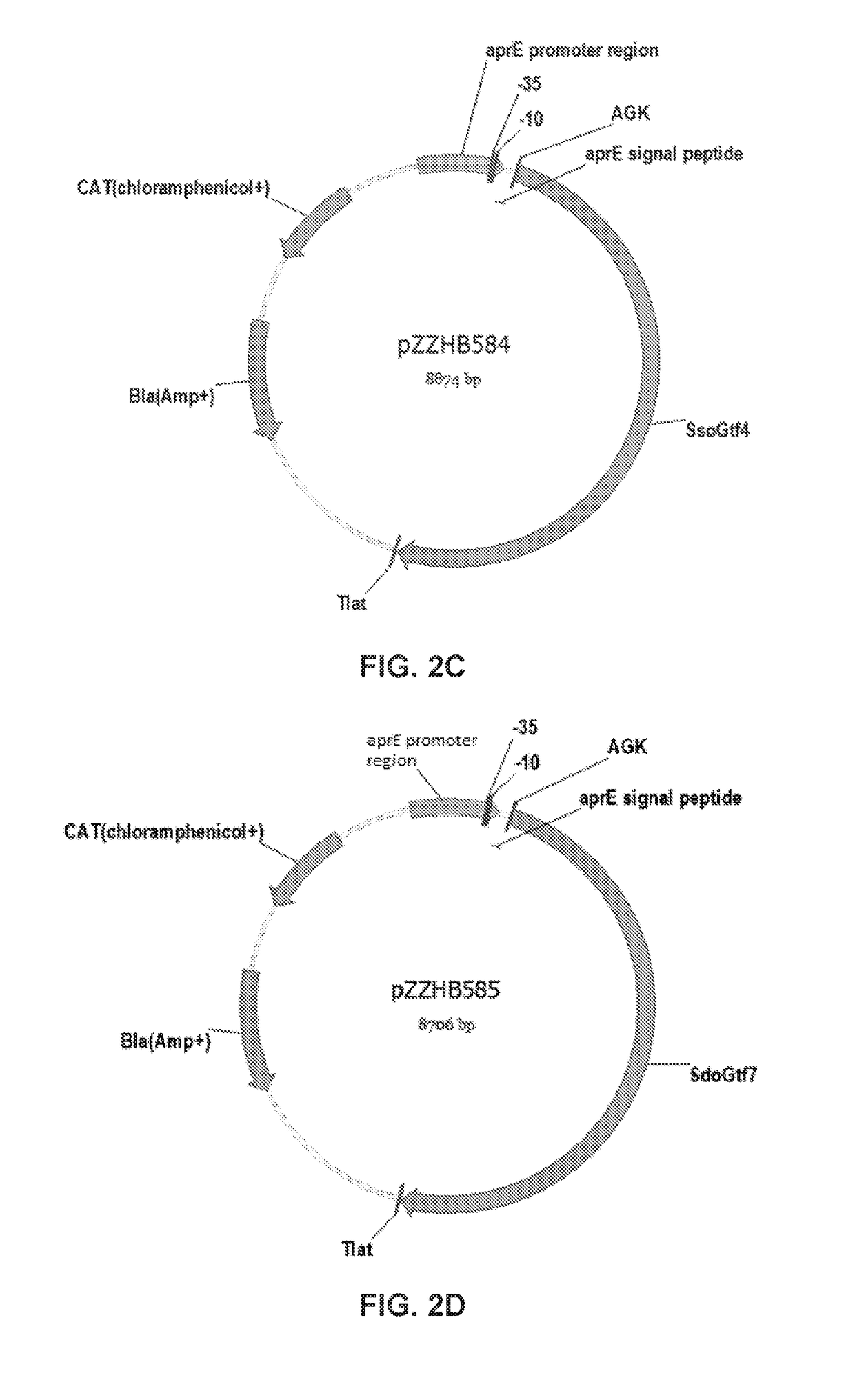 Oxidized dextran