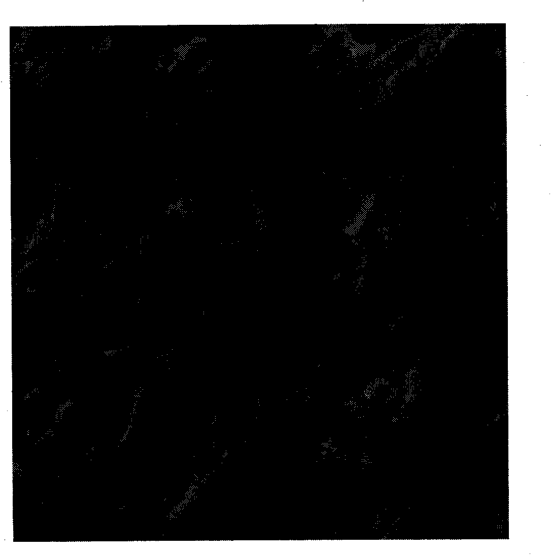 Directional orifice carbide biological ceramic material and preparation method thereof