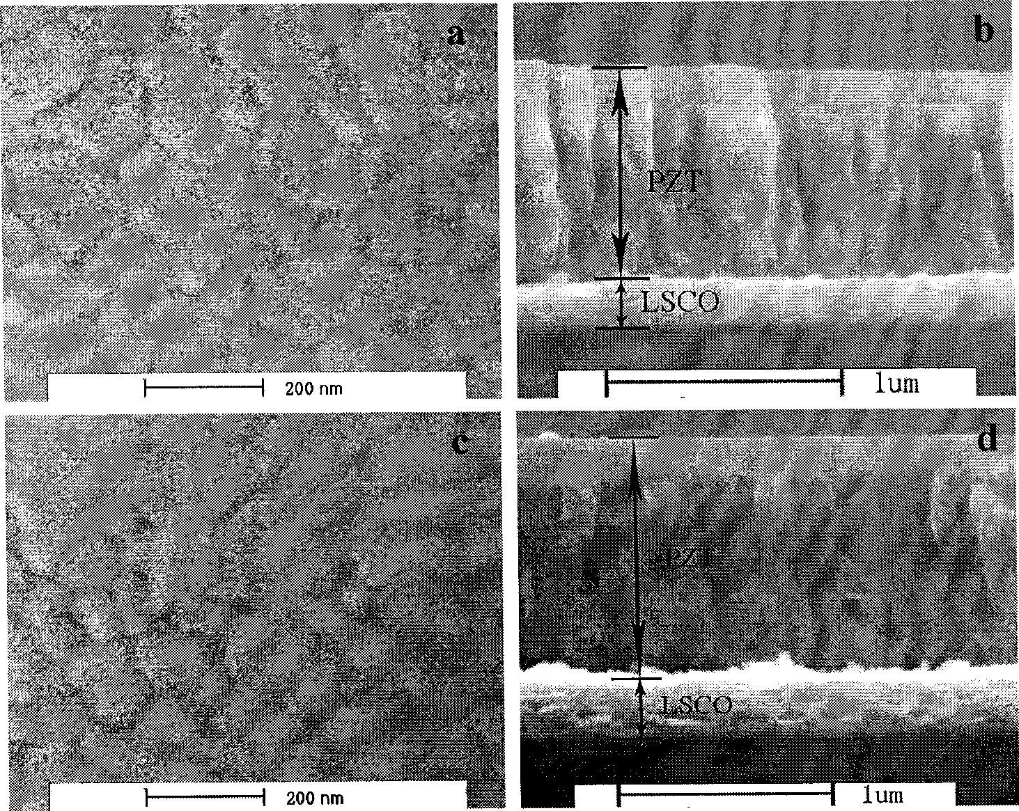 Preparation of silicium/strontium lanthanum cobaltocyanate/lead zirconate titanate three layer construction ferroelectric material