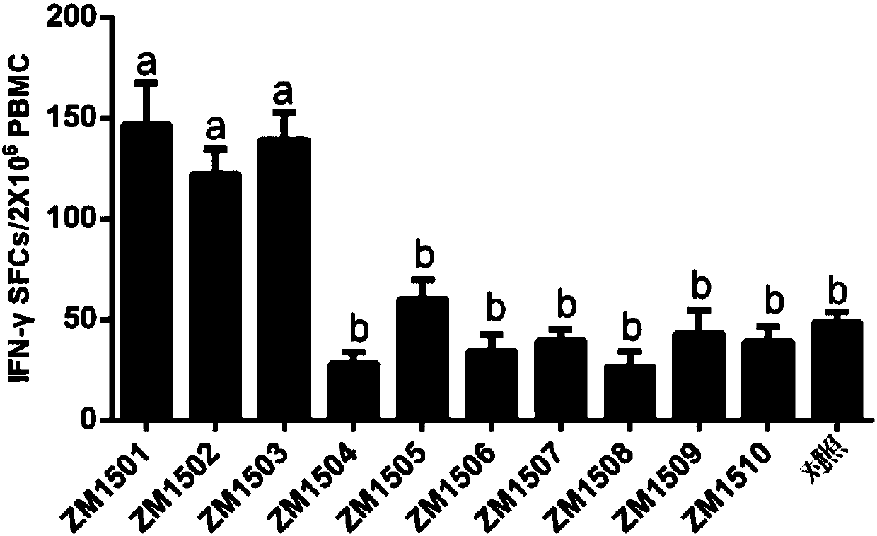 Immunoenhancer and application thereof