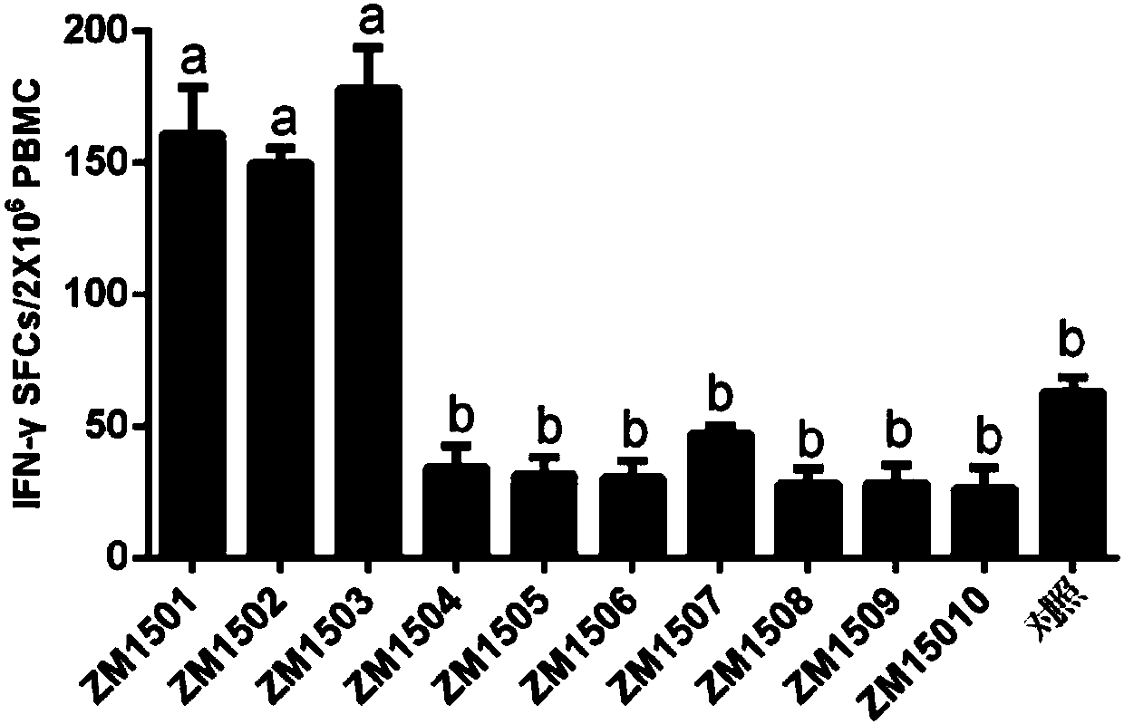 Immunoenhancer and application thereof