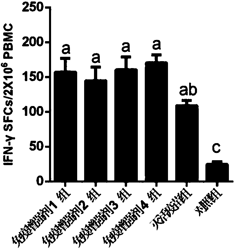 Immunoenhancer and application thereof