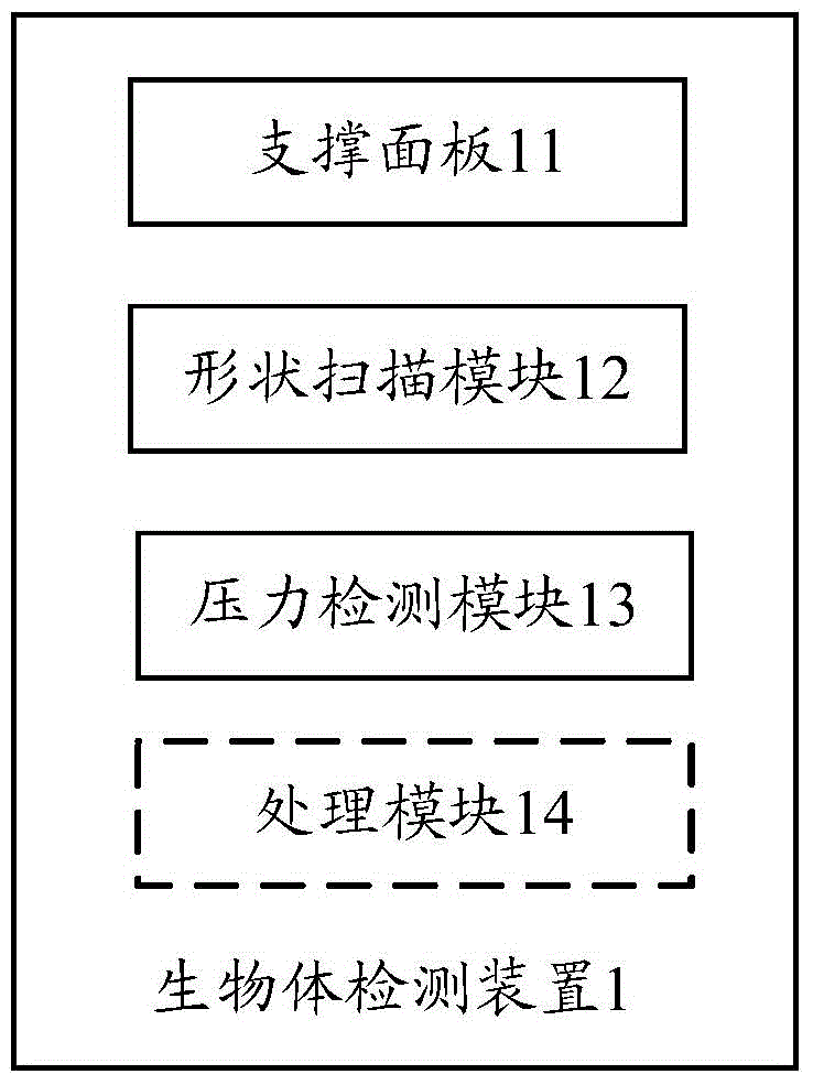 Organism detection device and organism detection method