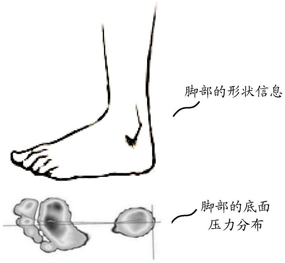 Organism detection device and organism detection method