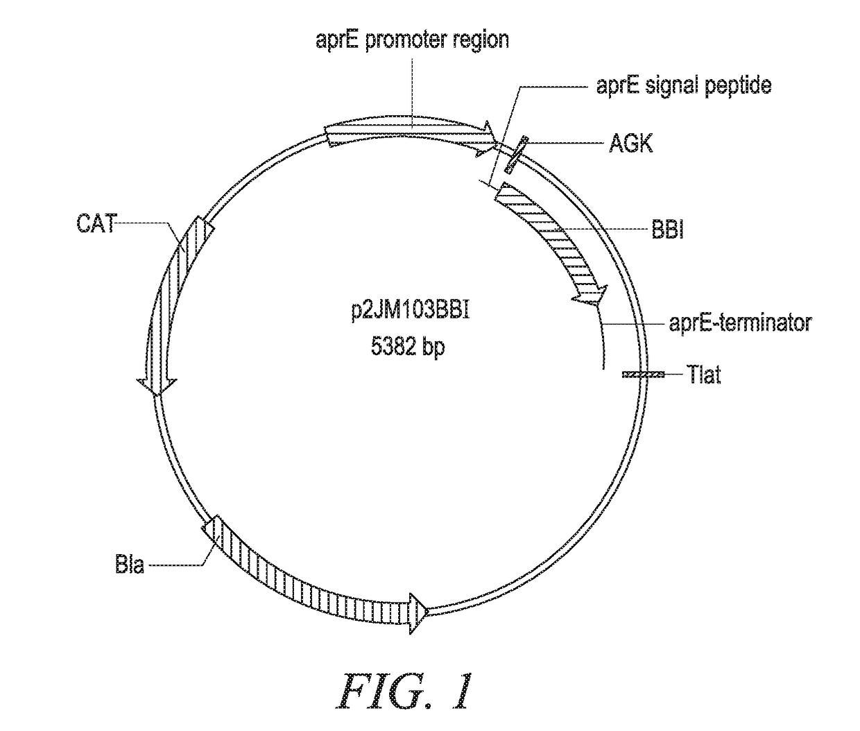 Compositions comprising beta mannanase and methods of use