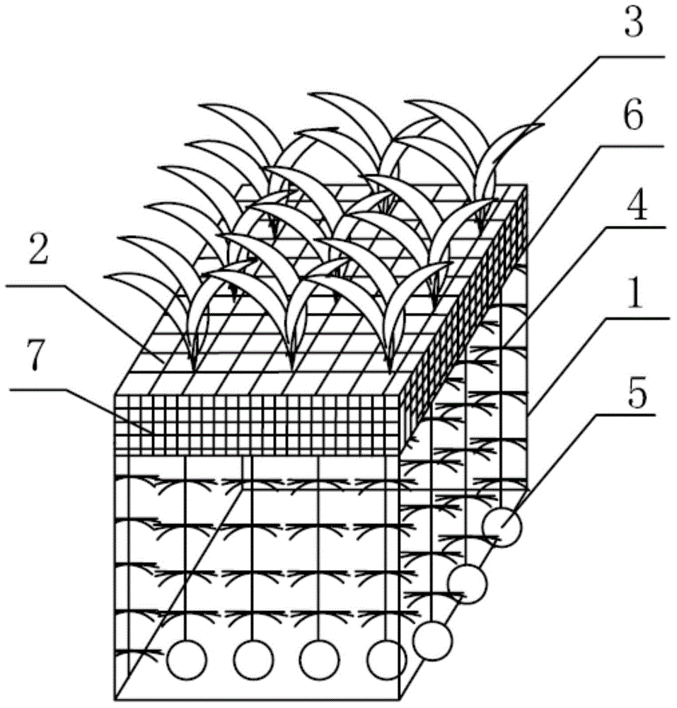 Combined three-dimensional floating bed