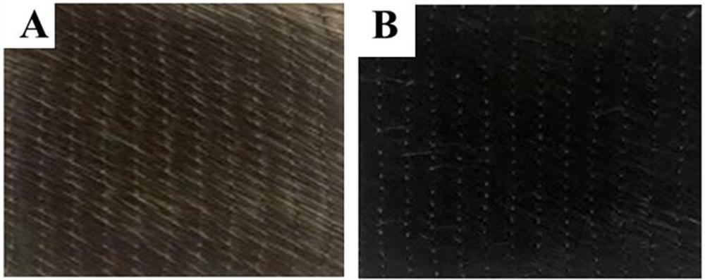 Simplified preparation method of graphene conductive fiber cloth and broadband electromagnetic wave absorption composite material thereof