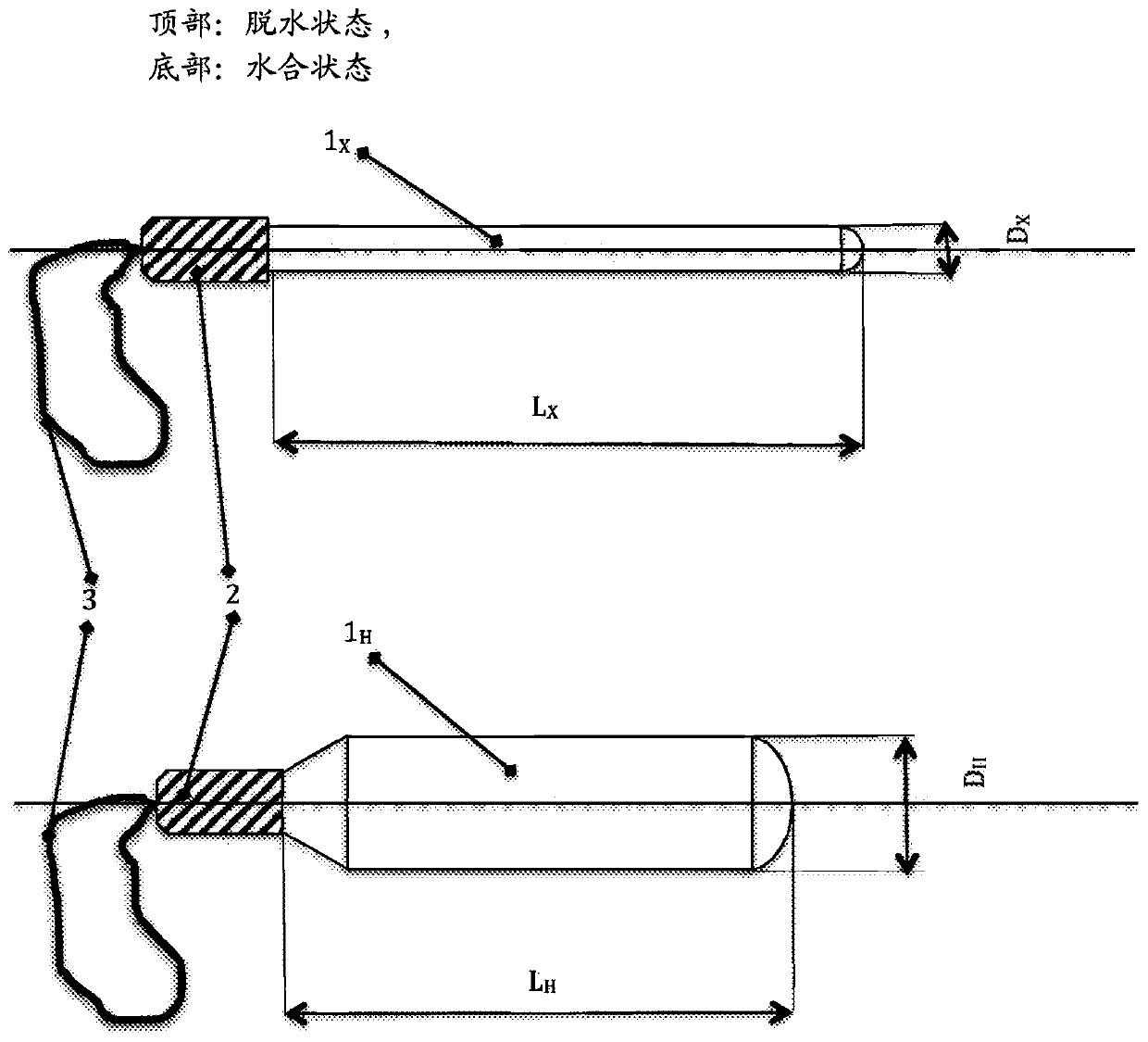 Combined osmotic and hydrogel cervical dilators and method of making same