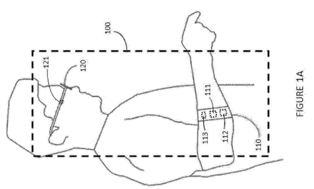 Systems, devices, and methods for wearable computers with heads-up displays