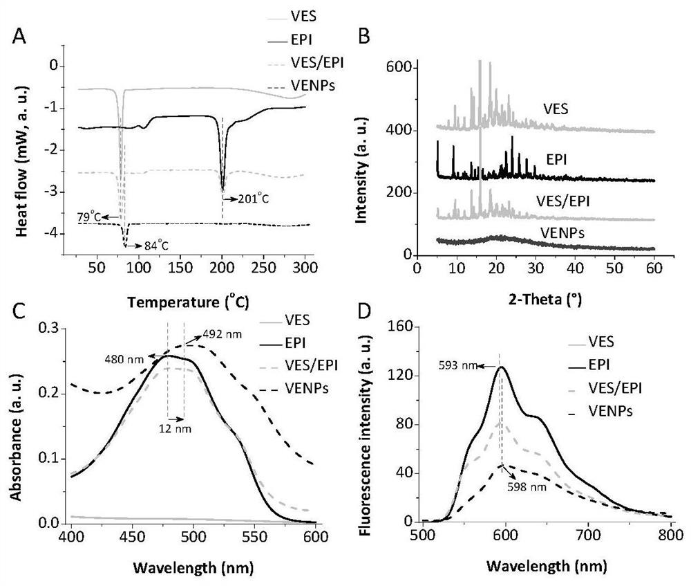 A kind of epirubicin ves compound and preparation method and application thereof