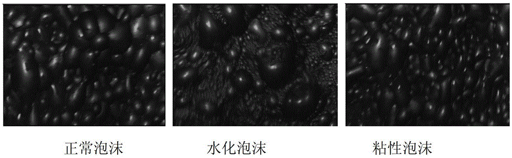 Recognition method of copper flotation field foam condition based on wavelet multi-scale binarization