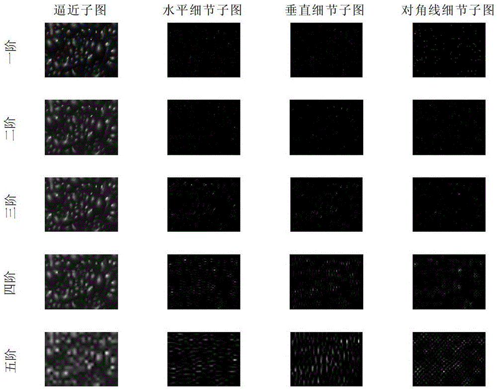 Recognition method of copper flotation field foam condition based on wavelet multi-scale binarization