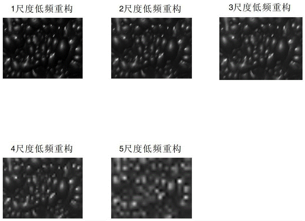 Recognition method of copper flotation field foam condition based on wavelet multi-scale binarization