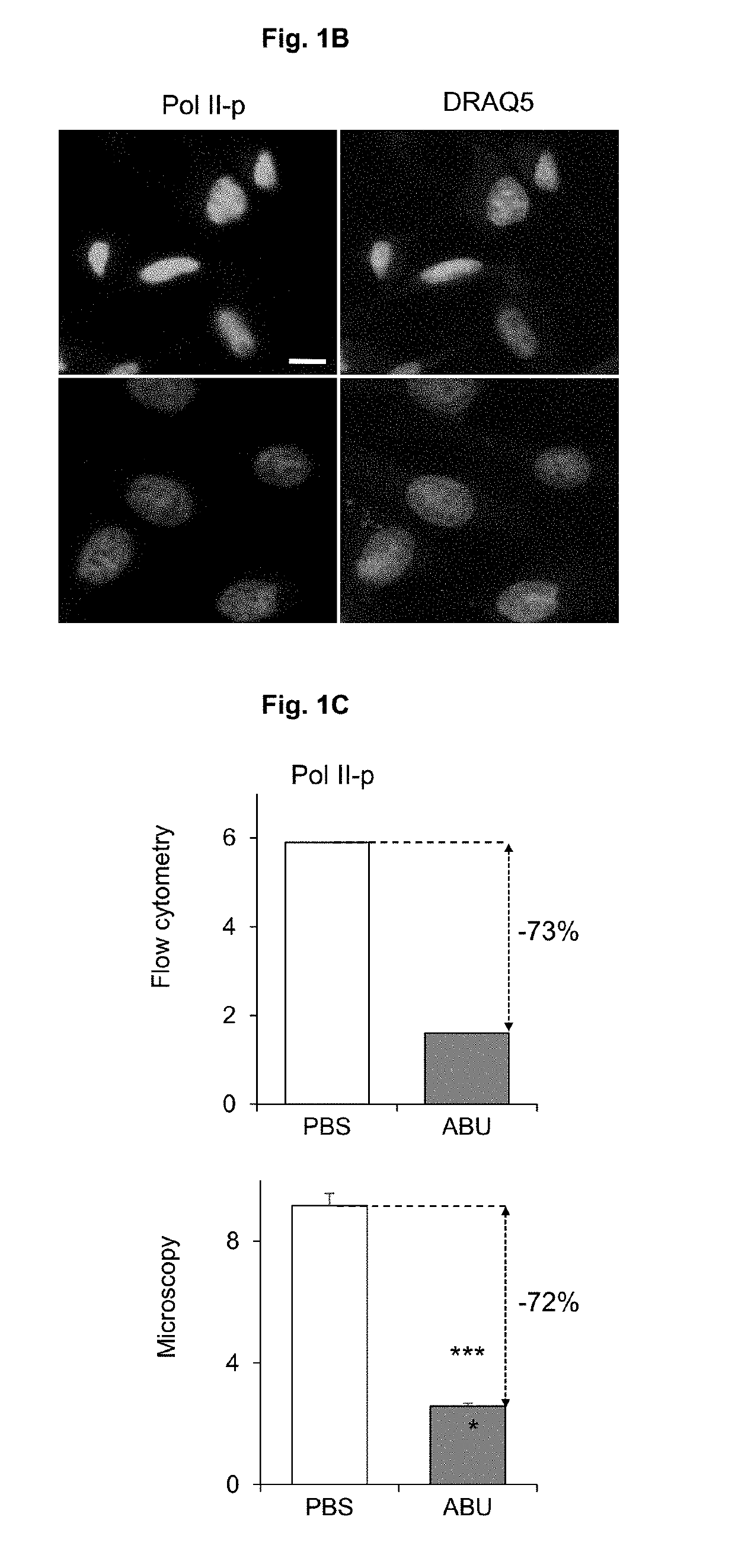 Inhibitor of RNA polymerase ii