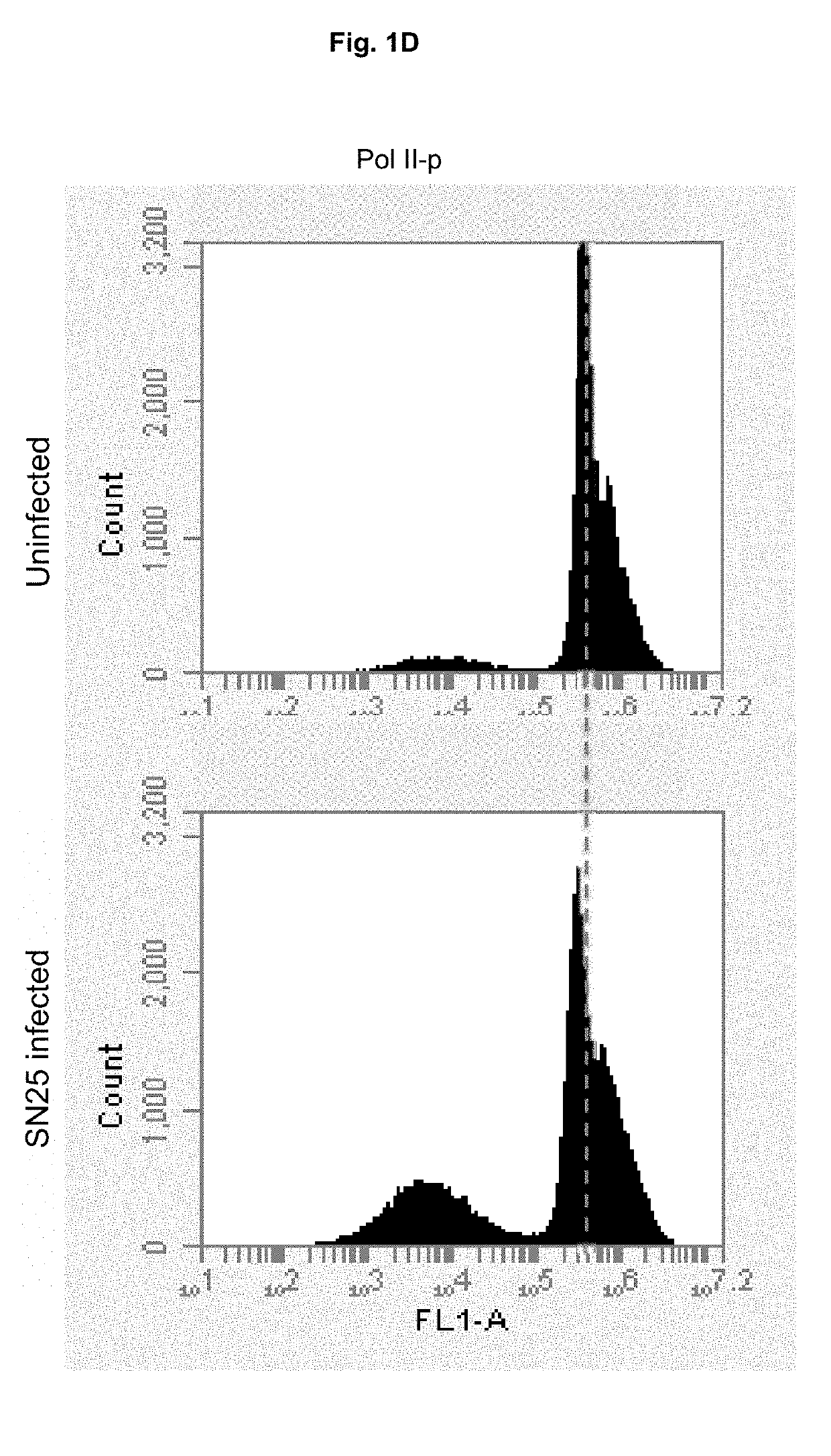 Inhibitor of RNA polymerase ii