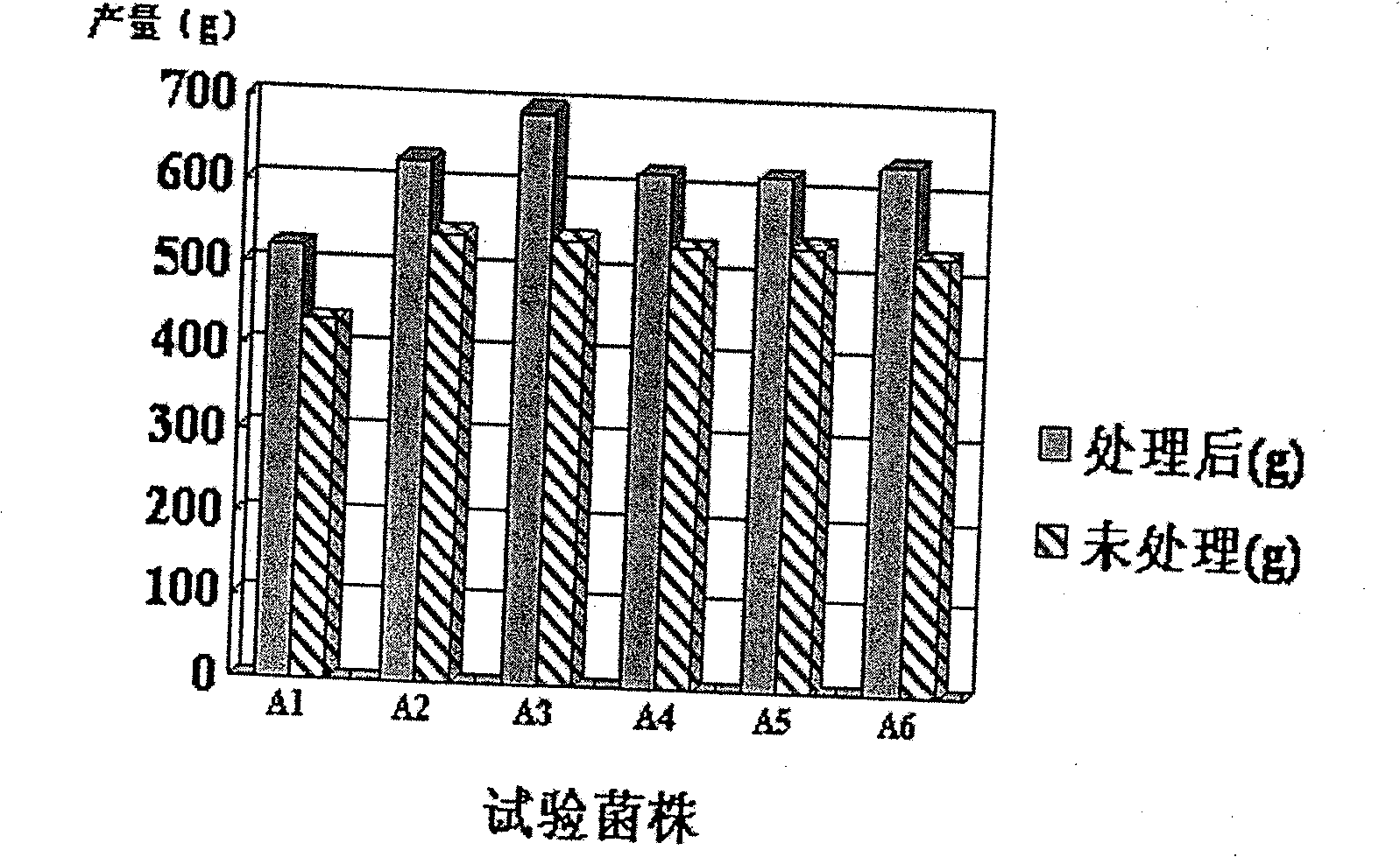 Method for improving growth rate and yield of oyster mushroom