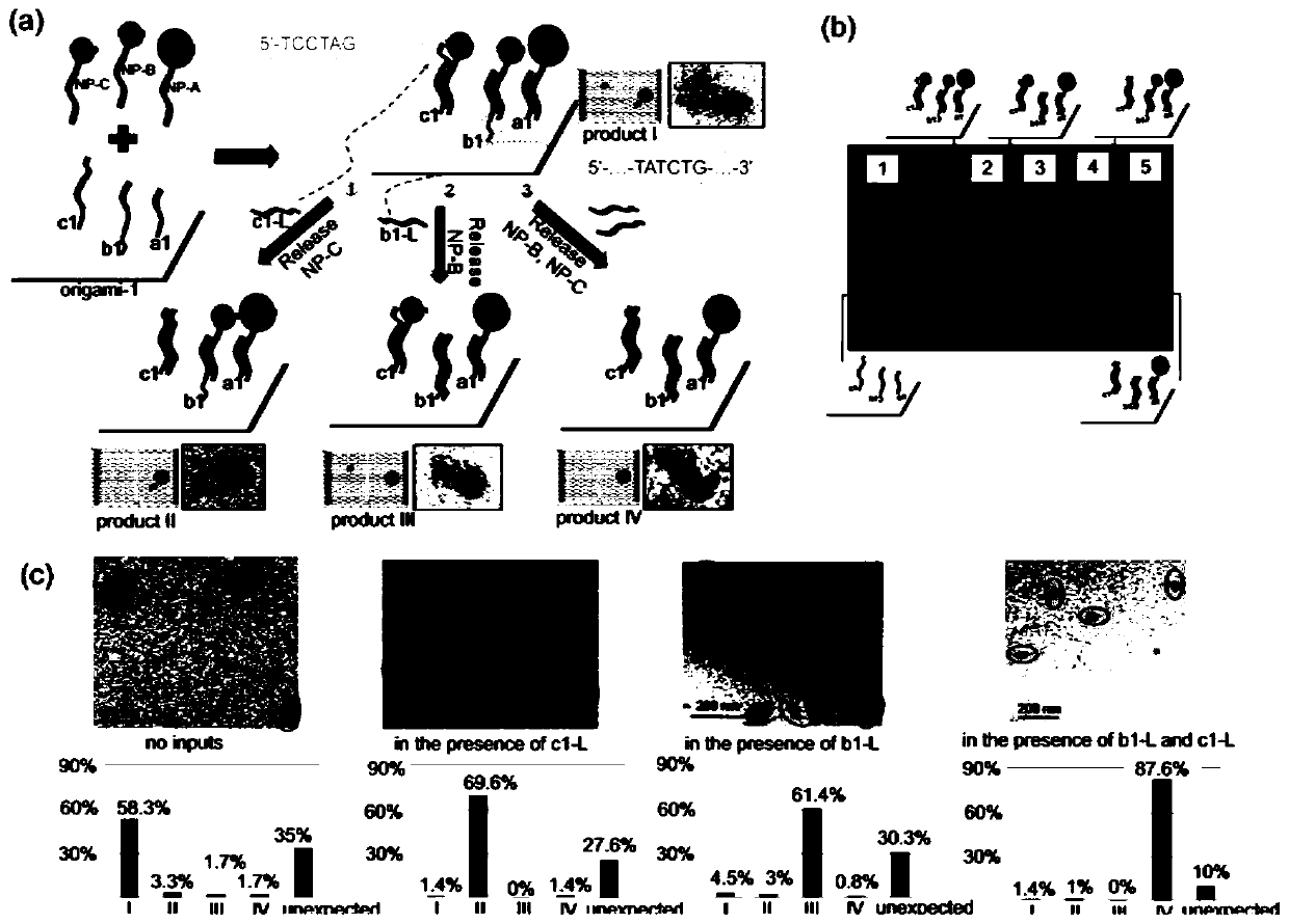 A DNA molecular logic gate based on dna Origami and its construction method