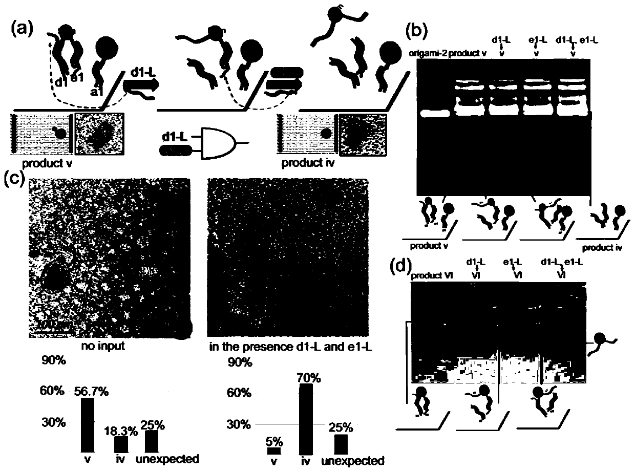 A DNA molecular logic gate based on dna Origami and its construction method