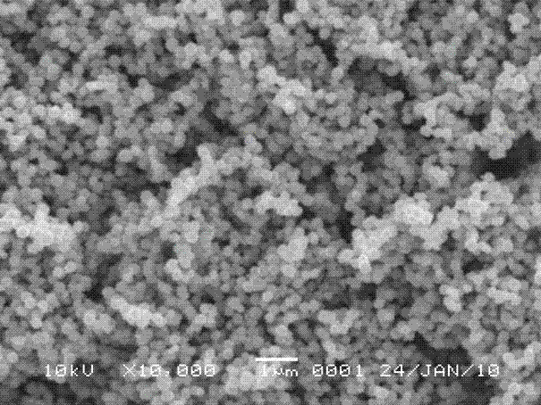 Magnetically supported titanium dioxide photocatalyst and preparation method thereof