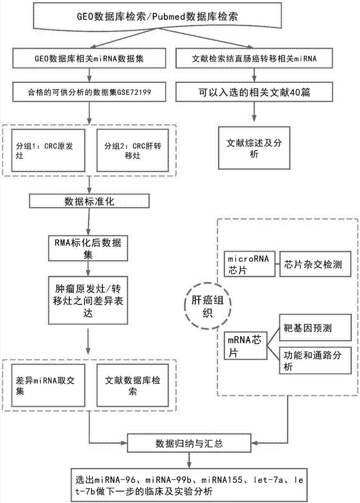 miRNA marker associated with colorectal cancer metastasis in plasma and application thereof