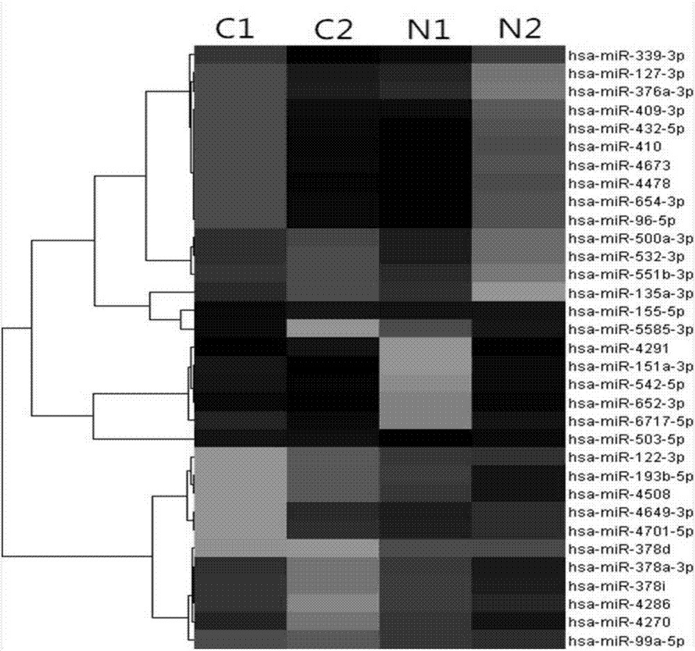 miRNA marker associated with colorectal cancer metastasis in plasma and application thereof