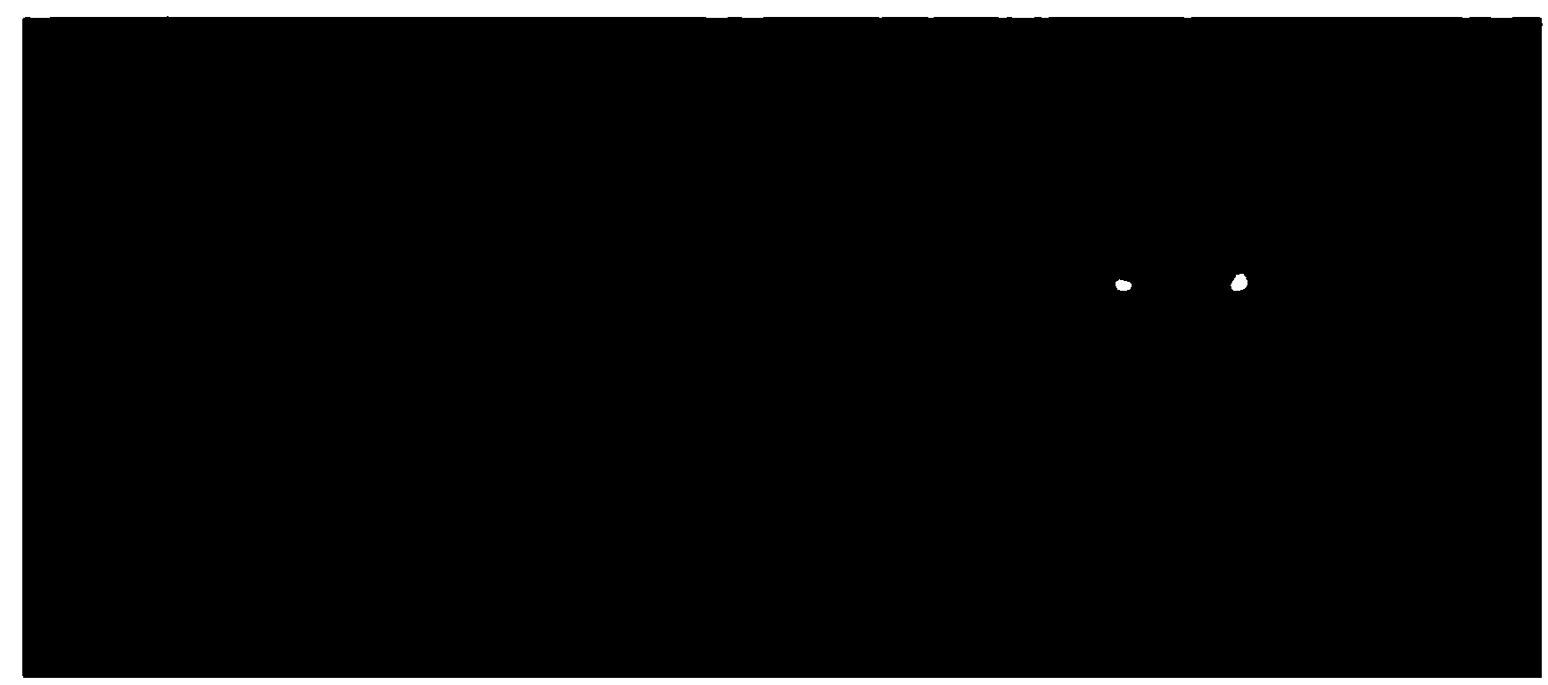 SNP (single nucleotide polymorphism) site and CAPS (cleaved amplified polymorphic sequence) mark interlocked with citrullus lanatus fruit bitter taste gene Bt (bitterness)