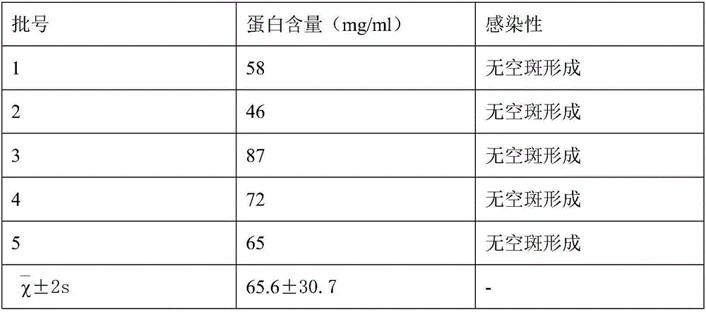 Varicella virus inactivated vaccine used for people and preparation method thereof