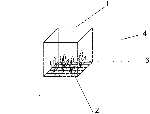 Planting device and method enabling submerged plants to be harvested conveniently