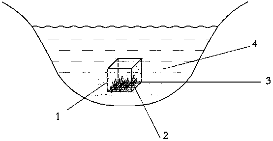 Planting device and method enabling submerged plants to be harvested conveniently