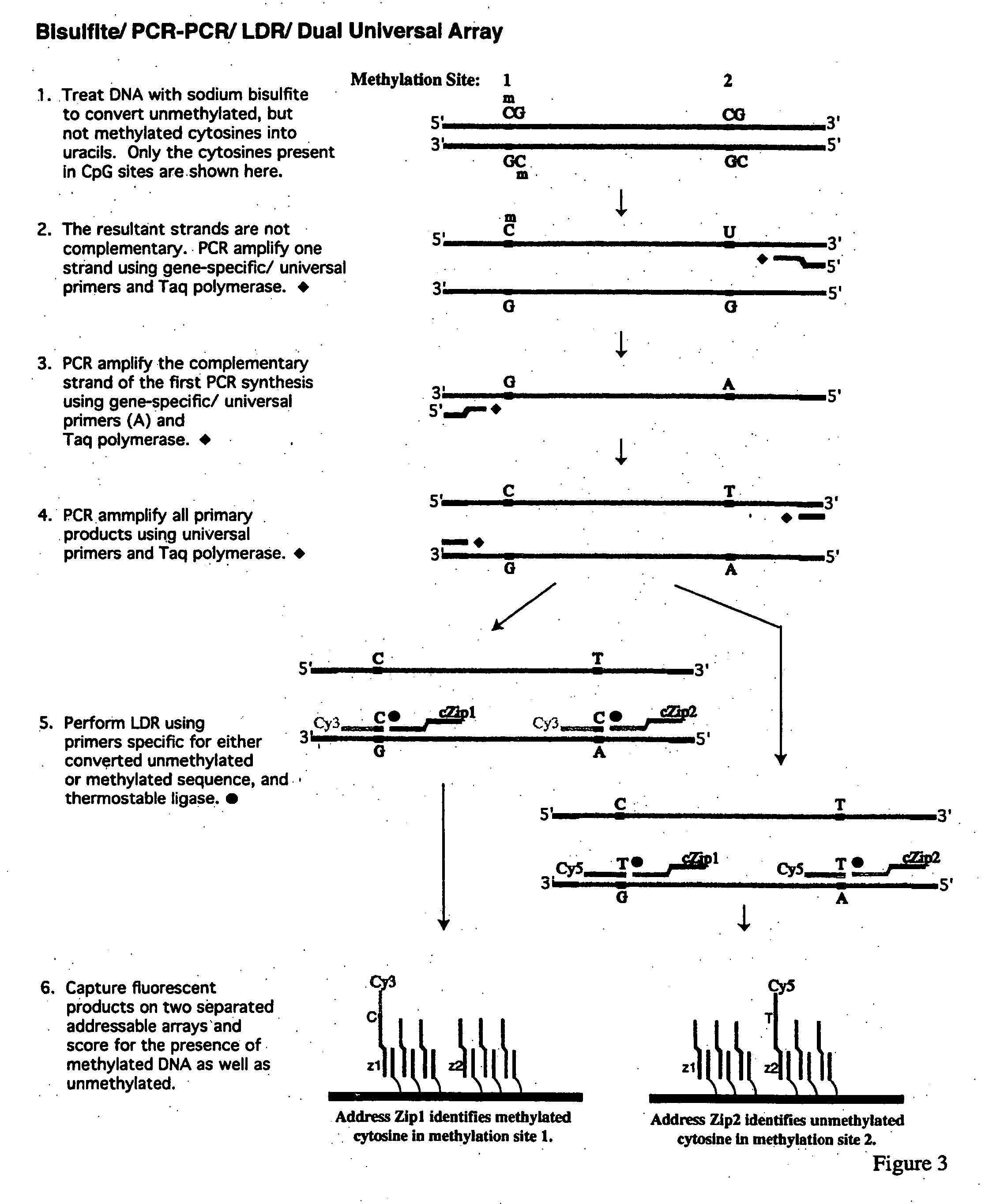 Method for detection of promoter methylation status