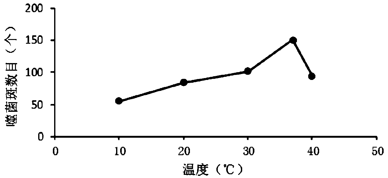 Coliphage and application thereof, as well as bactericidal composition and application of bactericidal composition