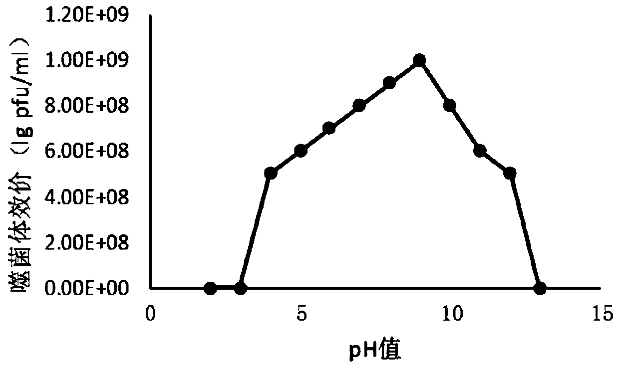 Coliphage and application thereof, as well as bactericidal composition and application of bactericidal composition