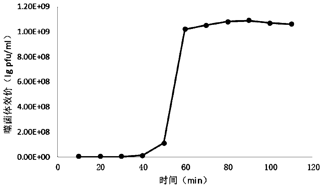 Coliphage and application thereof, as well as bactericidal composition and application of bactericidal composition