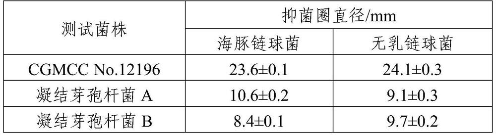 A new strain of Bacillus coagulans and its probiotics and feed