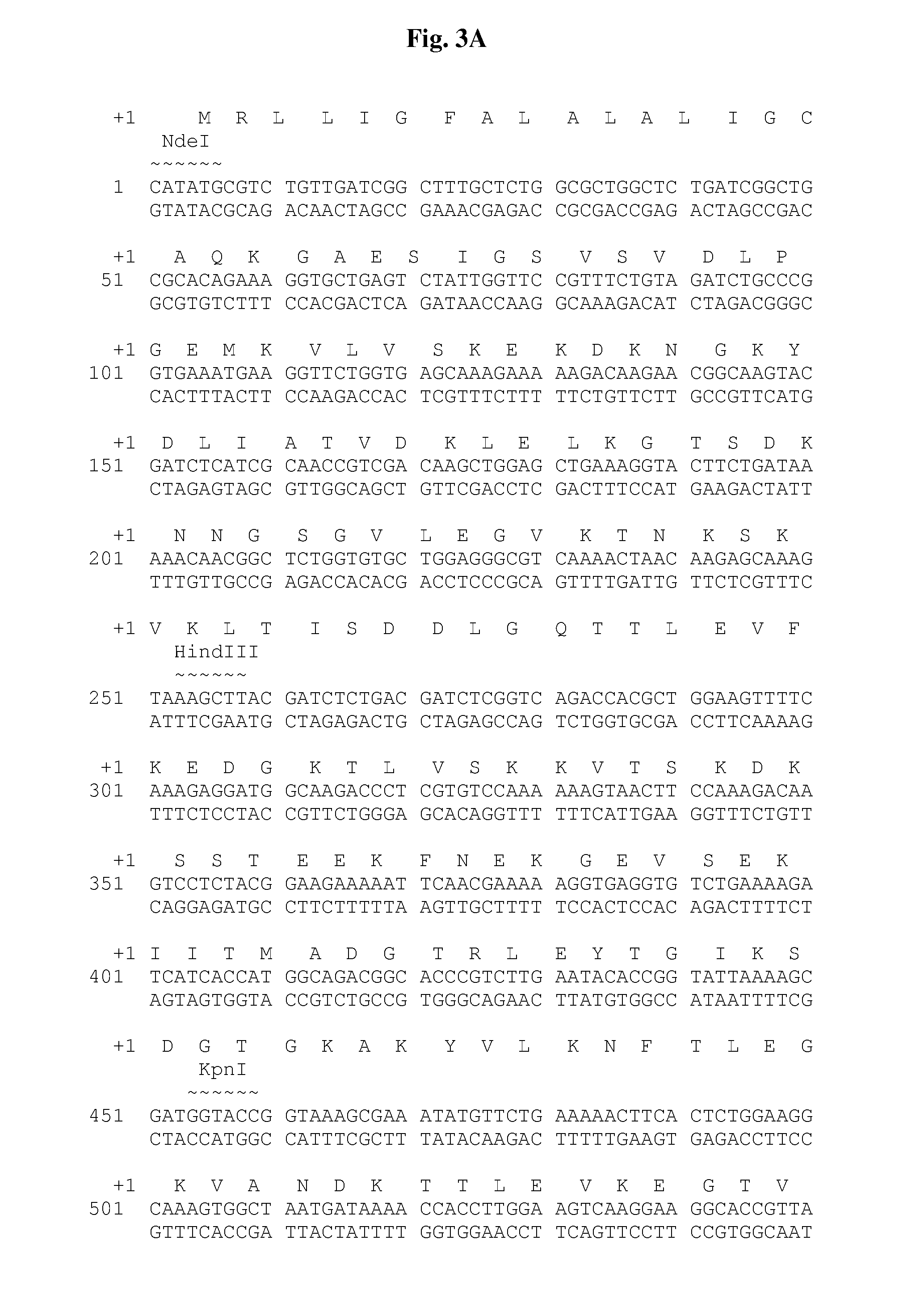 Chimeric ospa genes, proteins, and methods of use thereof